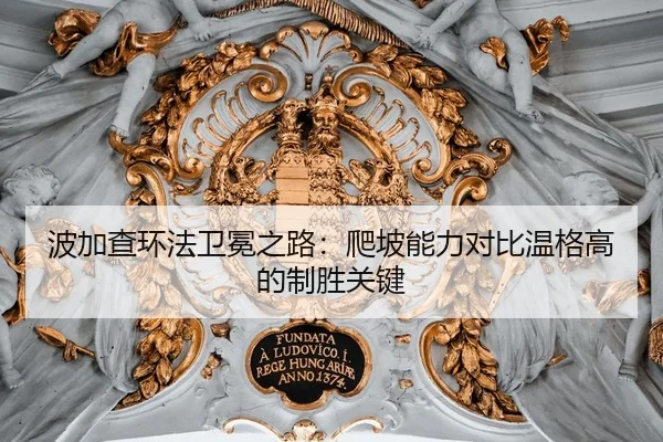 波加查环法卫冕之路：爬坡能力对比温格高的制胜关键